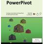 powerpivot fr excel