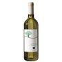 Colle di Bordocheo - Vermentino Doc Colli Lucchesi 2020 Bottle size: 0.75l; Serve at: 8/10 °C; Vintage: 2020; Alcohol: 13.5%; Tannico rating: 83/100; 