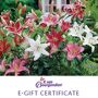 K. van Bourgondien E-Gift Certificate Give a gift any gardener will lovea K. van Bourgondien E- Gift Certificate. Available in $25 increments, your gift will arrive quickly with no delivery fee. Then the lucky recipient can take their time browsing our huge selection of Dutch bulbs and... 