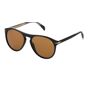 David Beckham Sunglasses DB 1008/S 807/70 Authentic David Beckham DB 1008/S Sunglasses from $ for Men. The DB 1008/S come with a Black Plastic frame and Brown lenses made of Plastic. Size: /18/145. 