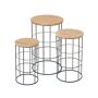 EVERGREEN ENTERPRISES INC Metal And Wood Side Table Set of 3 This set of metal and wood side tables will add a touch of elegance to any room. Spruce up your living room, bedroom, kitchen and more with the set of 3 tables. Style them together or incorporate seperately into your home décor, then nest them together for easy storage. Featuring a wire cage bottom and finished wood tops, the tables add natural sophistication to any indoor room. 