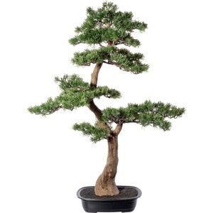 Creativ green Kunstbonsai »Bonsai Zeder« grün Größe