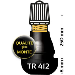 Bihr Gummierte gerade Ventile TR412 - 100 Stück