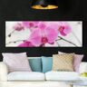 Leinwandbild Blumen - Panorama Nahaufnahme Orchidee