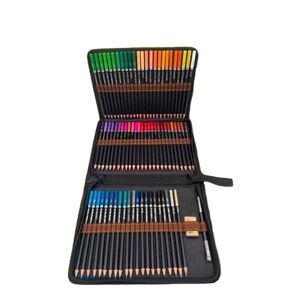 Colouring pencils Roymart Artist Premium Case Multicolour