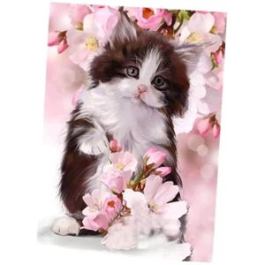 SPOKOJENOST Cat Diamond Painting Pictures Diy 5d Diamond Painting Diamond Painting