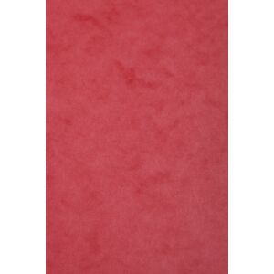 Clairefontaine Carte Europa paquet 50F A4 256g - Rouge - Lot de 50 Marron taupé