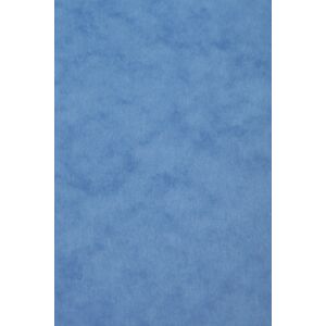 Clairefontaine Carte Europa paquet 50F A3 256g - Bleu - Lot de 50 Vert