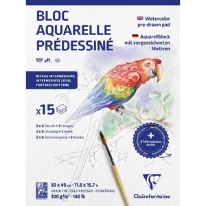 Clairefontaine Aquarelle Prédessiné Animaux bloc collé 15F 30x40cm 300g - Lot de 5