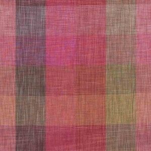 Etro Tissu Vallay