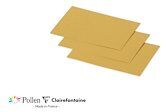 Paquet de 25 cartes simples Pollen 70x95mm 210g/m² - Or - Lot de 5