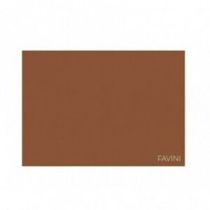 Favini Prisma 220 g/m2 - 10 Cartoncini 70 x 100 cm Caffè