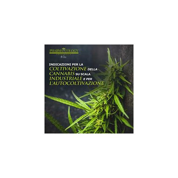 indicazioni per la coltivazione della cannabis su scala industriale e per l'autocoltivazione