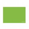 Favini Prisma 220 g/m2 - 10 Cartoncini 70 x 100 cm Verde