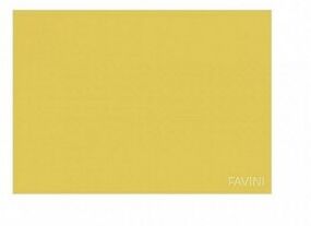 Favini Prisma 220 g/m2 - 10 Cartoncini 70 x 100 cm Camoscio