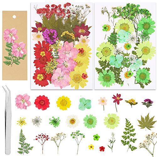 Winterworm 65 stuks echte gedroogde geperste bloemen set,Meerdere gedroogde bloem bladeren bloemblaadjes met 5 bladwijzer en pincet voor make art kaars ambachtelijke DIY hars sieraden Nail Art