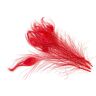 Creativery 10 echte pauwenveren, ca. 25-30 cm // pauw veren natuurlijke ogen decoratie pauw ogen sieraden rood 250