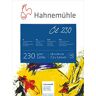 Hahnemühle Photo Olie en acryl blokkeren 18 x 24 cm (7.1x9.4in): 230gsm: 10 s