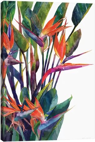 East Urban Home 'Bird of Paradise' by Maja Wronska Print on Wrapped Canvas East Urban Home  - Size: 45.72cm H x 66.04cm W x 1.91cm D