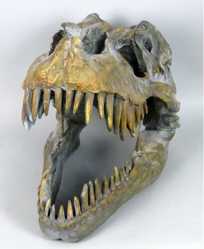 Happy Larry T-Rex Dinosaur Skull Figurine Happy Larry Small