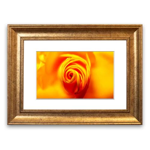 East Urban Home 'Golden Rose Centre Cornwall Flowers' Framed Photographic Print East Urban Home Size: 93 cm H x 126 cm W, Frame Options: Gold  - Size: 93 cm H x 126 cm W