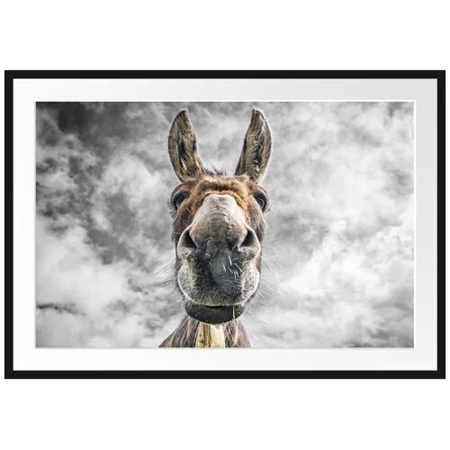 East Urban Home Funny Donkey Framed Photographic Print East Urban Home Size: 70cm H x 100cm W  - Size: Mini (Under 40cm High)