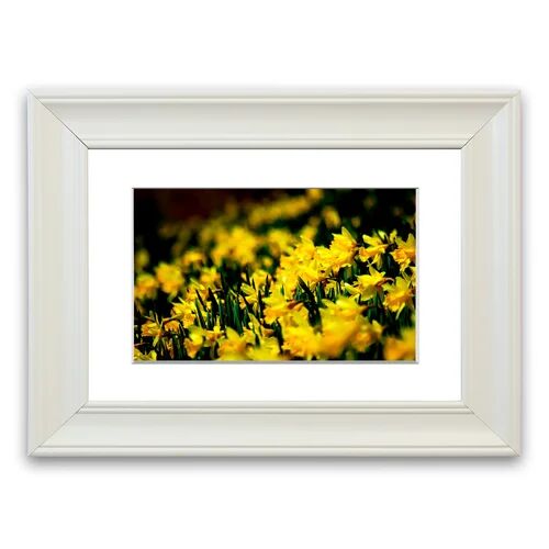 East Urban Home 'Yellow Daffodils' Framed Photographic Print East Urban Home Size: 50 cm H x 70 cm W, Frame Options: Matte White  - Size: 93 cm H x 70 cm W