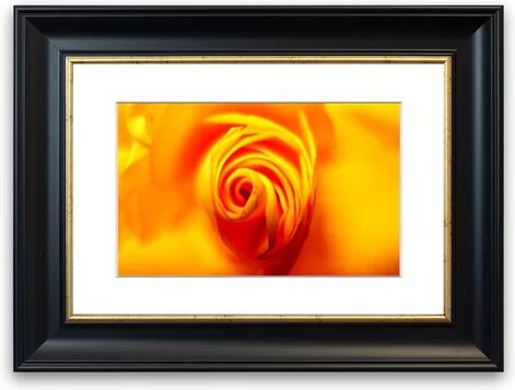 East Urban Home 'Golden Rose Centre Cornwall Flowers' Framed Photographic Print East Urban Home Size: 93 cm H x 126 cm W, Frame Options: Black  - Size: 93 cm H x 126 cm W