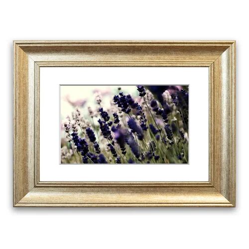 East Urban Home 'Lavender Flowers 3' Framed Photographic Print East Urban Home Size: 50 cm H x 70 cm W, Frame Options: Silver  - Size: 93 cm H x 126 cm W