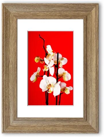 East Urban Home 'White Orchard Beauty Cornwall' Framed Photographic Print East Urban Home Size: 93 cm H x 126 cm W, Frame Options: Teak  - Size: 50 cm H x 70 cm W