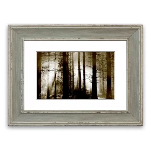 East Urban Home 'Secret Forrest' Framed Photographic Print East Urban Home Size: 93 cm H x 70 cm W, Frame Options: Blue  - Size: 50 cm H x 70 cm W