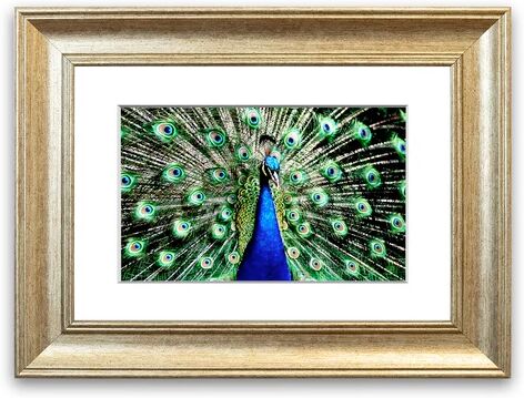 East Urban Home 'Stunning Peacock Feathers Cornwall Living Room' Framed Photographic Print East Urban Home Size: 50 cm H x 70 cm W, Frame Options: Silver  - Size: 93 cm H x 70 cm W