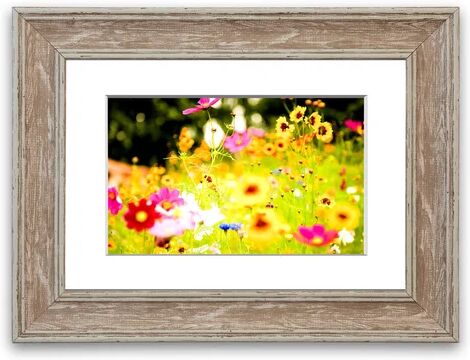 East Urban Home 'Vivid Flowers' Framed Photographic Print East Urban Home Size: 93 cm H x 126 cm W, Frame Options: Walnut  - Size: 50 cm H x 70 cm W