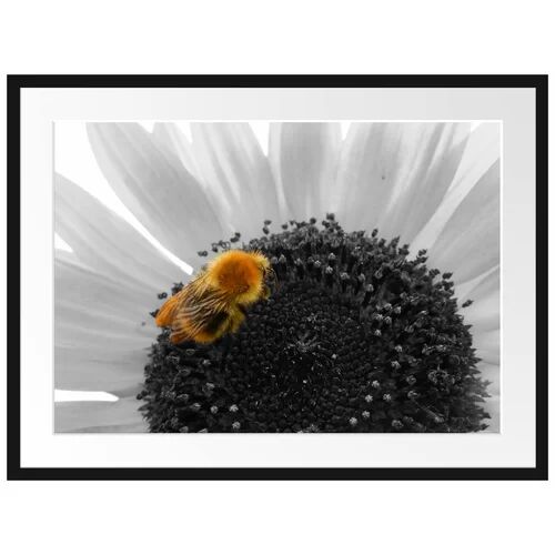 East Urban Home Sweet Bee on Large Sunflower Framed Photographic Print Poster East Urban Home Size: 60cm H x 80cm W  - Size: 100 cm H x 70 cm W