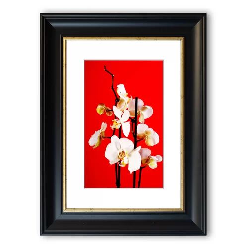 East Urban Home 'White Orchard Beauty Cornwall' Framed Photographic Print East Urban Home Size: 93 cm H x 70 cm W, Frame Options: Black  - Size: 93 cm H x 70 cm W