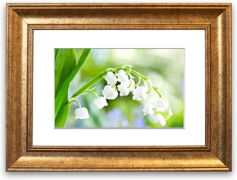 East Urban Home 'Lily of the Valley Macro' Framed Photographic Print East Urban Home Size: 93 cm H x 70 cm W, Frame Options: Gold  - Size: 50 cm H x 70 cm W