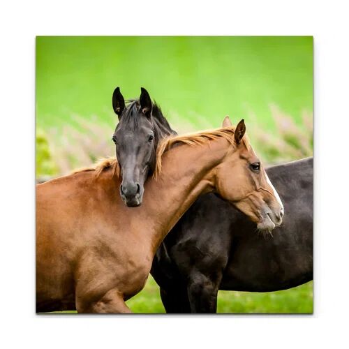 East Urban Home Cuddling Horses on the Pasture Photographic Print on Canvas East Urban Home Size: 60cm L x 60cm W  - Size: Large