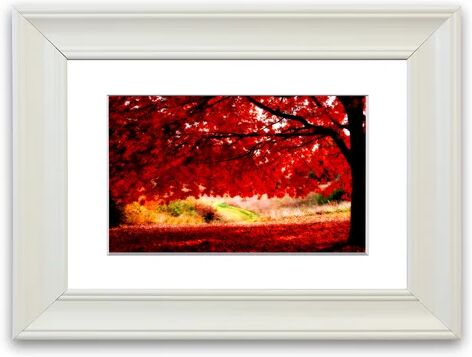 East Urban Home 'Red Autumn Tree' Framed Photographic Print East Urban Home Size: 93 cm H x 126 cm W, Frame Options: Matte White  - Size: 93 cm H x 126 cm W