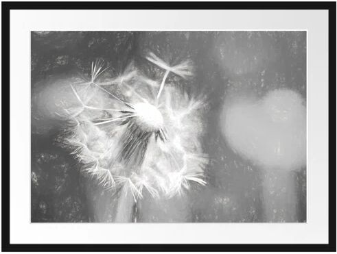 East Urban Home Beautiful White Dandelion Framed Photographic Print East Urban Home Size: 60cm H x 80cm W  - Size: Mini (Under 40cm High)