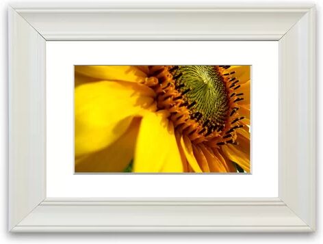 East Urban Home 'Sunflower 12' Framed Photographic Print East Urban Home Size: 93 cm H x 126 cm W, Frame Options: Matte White  - Size: 93 cm H x 70 cm W