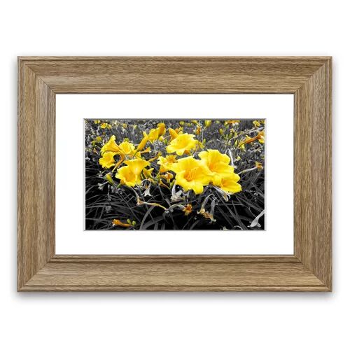 East Urban Home 'Yellow Trumpet Flowers on B~W Cornwall Flowers' Framed Photographic Print East Urban Home Size: 93 cm H x 70 cm W, Frame Options: Teak  - Size: 93 cm H x 126 cm W