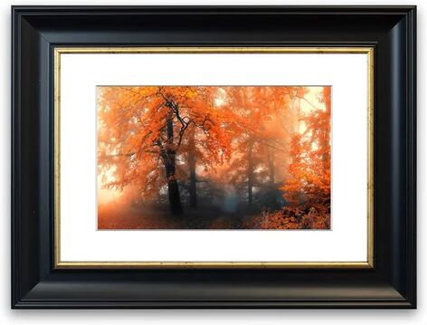 East Urban Home 'Autumn 19 Cornwall Forest' Framed Photographic Print East Urban Home Size: 50 cm H x 70 cm W, Frame Options: Matte Black  - Size: 50 cm H x 70 cm W