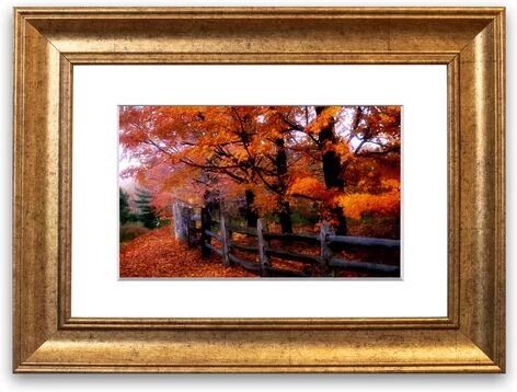 East Urban Home 'Orange Autumn Leaves' Framed Photographic Print East Urban Home Size: 93 cm H x 70 cm W, Frame Options: Gold  - Size: 93 cm H x 70 cm W