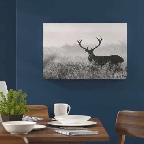 Alpen Home Red Deer Stag at Twilight Photographic Print on Canvas Alpen Home Size: 80 cm H x 120 cm W  - Size: 70cm H x 100cm W