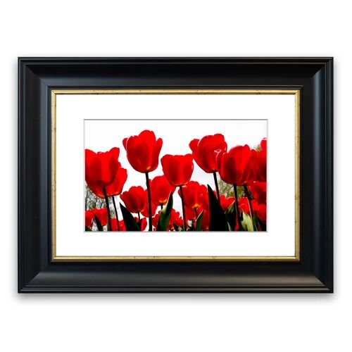 East Urban Home 'Red Tulip Skies Flowers Cornwall Flowers' Framed Photographic Print East Urban Home Size: 93 cm H x 126 cm W, Frame Options: Black  - Size: 50 cm H x 70 cm W