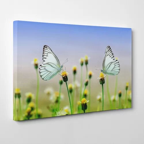 Big Box Art Two Butterflies on Yellow Flowers Photographic Print on Canvas Big Box Art Size: 70cm H x 100cm W  - Size: 70cm H x 100cm W