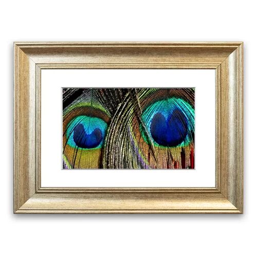 East Urban Home 'Peacock Feather Duo Cornwall' Framed Photographic Print East Urban Home Size: 93 cm H x 70 cm W, Frame Options: Silver  - Size: 50 cm H x 70 cm W