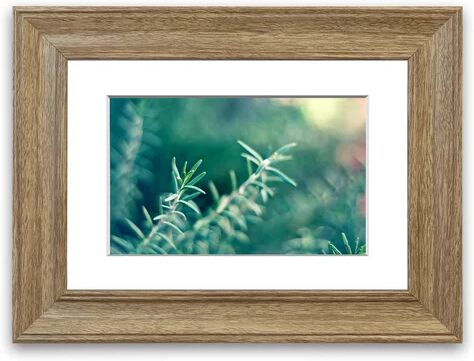 East Urban Home 'Rosemary' Framed Photographic Print East Urban Home Size: 93 cm H x 126 cm W, Frame Options: Teak  - Size: 50 cm H x 70 cm W