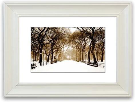 East Urban Home 'Winter Park Sepia' Framed Photographic Print East Urban Home Size: 50 cm H x 70 cm W, Frame Options: White  - Size: 50 cm H x 70 cm W