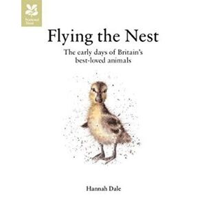 MediaTronixs Flying Nest Tbp ed by Hannah Dale